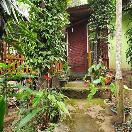 Green Heaven Lodge Ella Εξωτερικό φωτογραφία