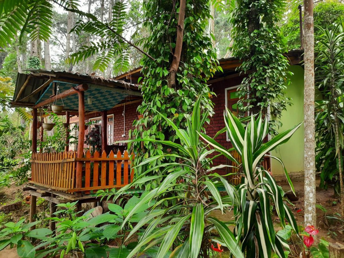 Green Heaven Lodge Ella Εξωτερικό φωτογραφία
