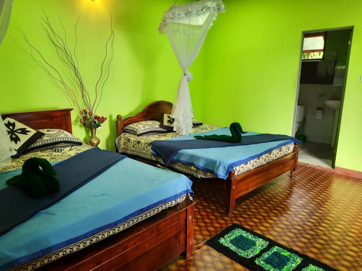 Green Heaven Lodge Ella Εξωτερικό φωτογραφία