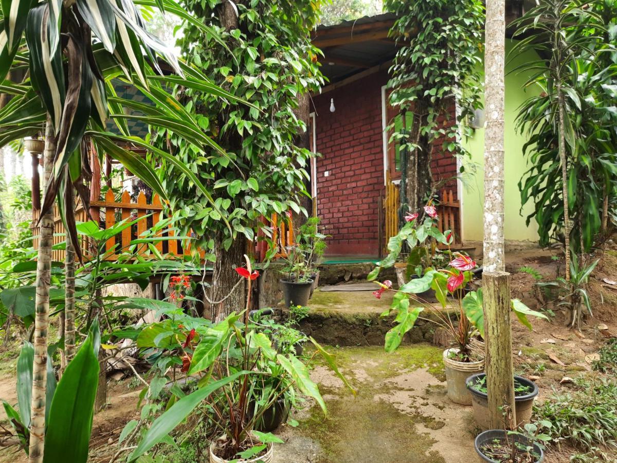 Green Heaven Lodge Ella Εξωτερικό φωτογραφία