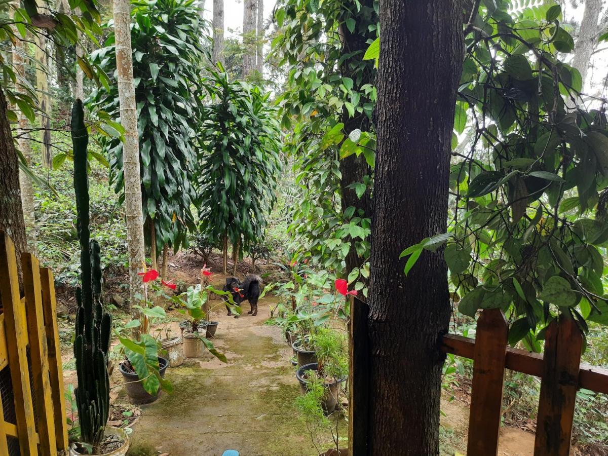 Green Heaven Lodge Ella Εξωτερικό φωτογραφία