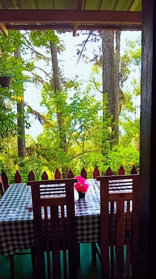 Green Heaven Lodge Ella Εξωτερικό φωτογραφία