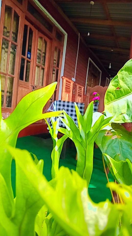 Green Heaven Lodge Ella Εξωτερικό φωτογραφία