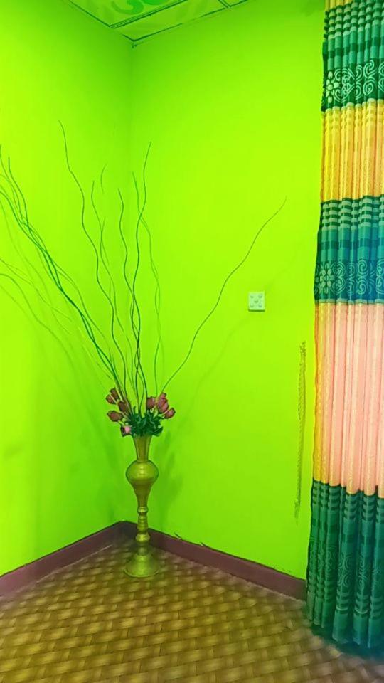 Green Heaven Lodge Ella Εξωτερικό φωτογραφία