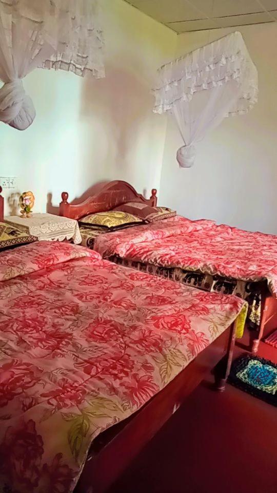 Green Heaven Lodge Ella Εξωτερικό φωτογραφία