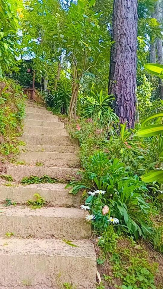 Green Heaven Lodge Ella Εξωτερικό φωτογραφία