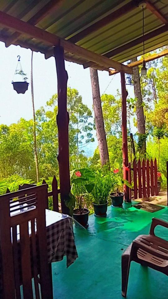 Green Heaven Lodge Ella Εξωτερικό φωτογραφία