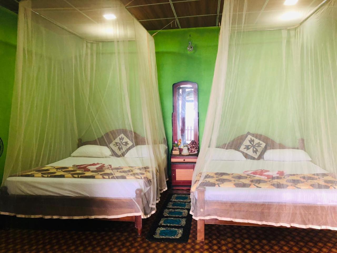 Green Heaven Lodge Ella Εξωτερικό φωτογραφία