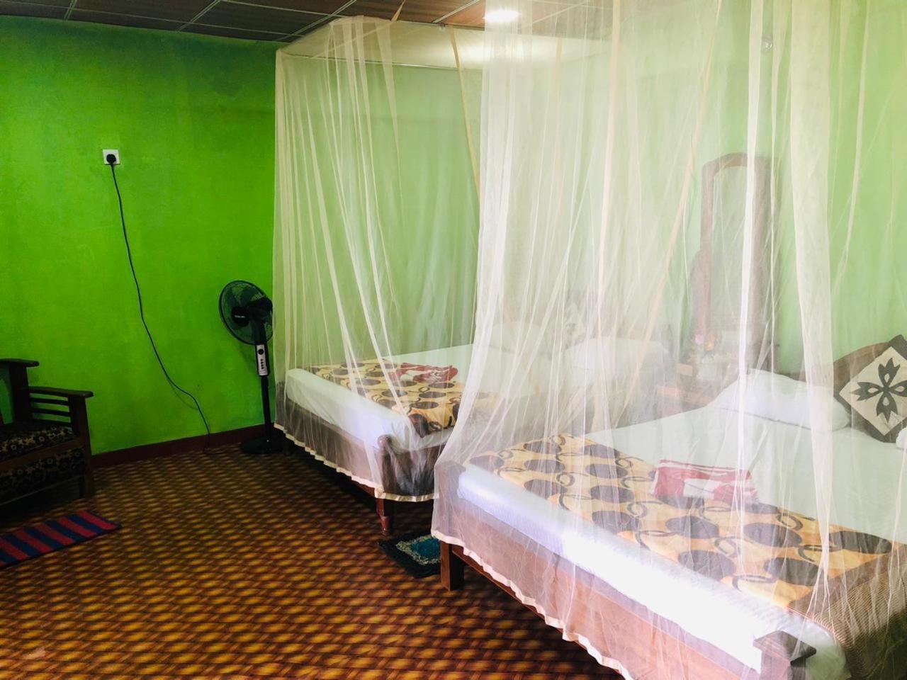 Green Heaven Lodge Ella Εξωτερικό φωτογραφία